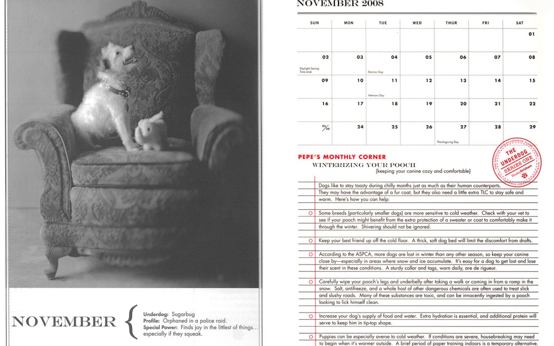 Pet Calendar