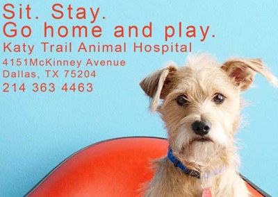 Katy Trail Animal Clinic Post Card