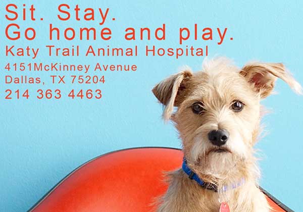 Katy Trail Animal Clinic Post Card